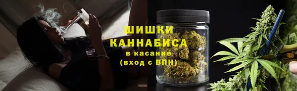 прущая мука Богородицк