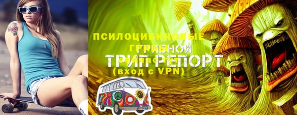 дживик Богданович