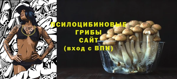 прущая мука Богородицк
