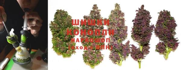 дживик Богданович