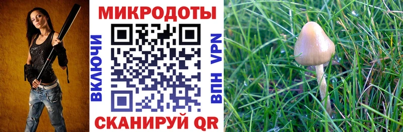 OMG ONION  Котельники  площадка как зайти  Псилоцибиновые грибы MAGIC MUSHROOMS 